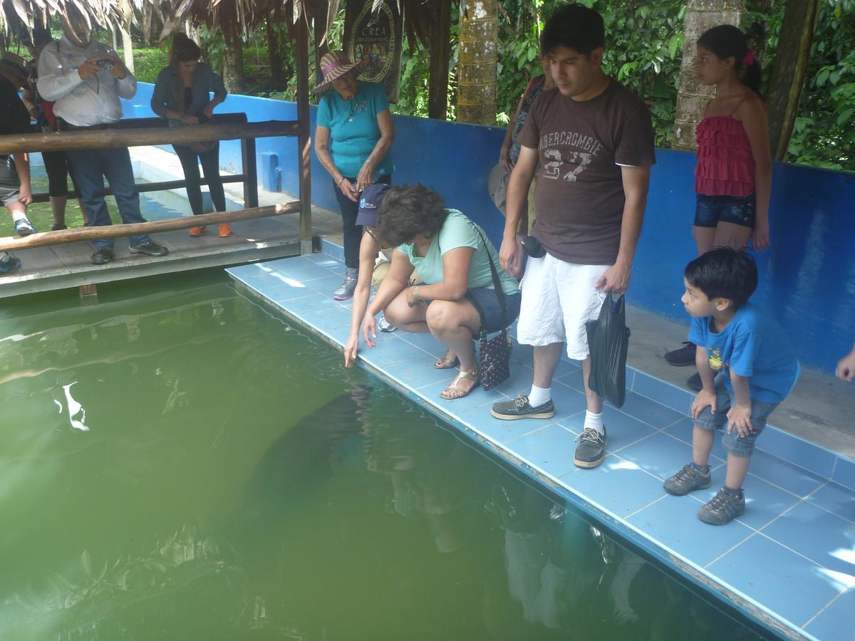 Hospedaje Las Amazonas Iquitos Exteriör bild